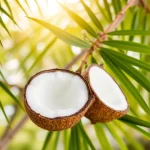 Kokosmelk en histamine: belangrijke info